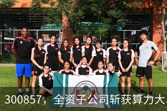 300857，全资子公司斩获算力大单